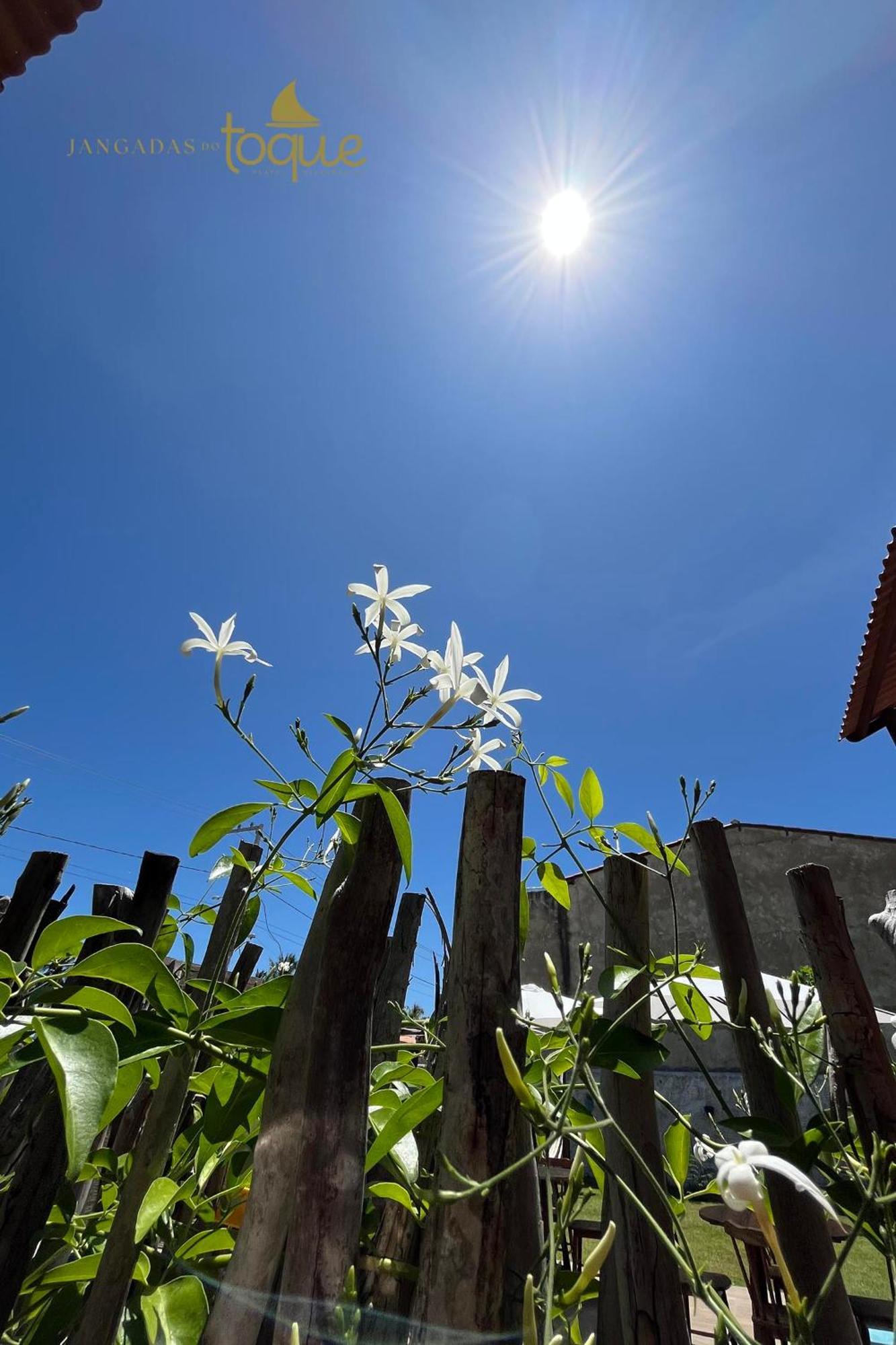 São Miguel dos Milagres Jangadas Do Toque Milagres Flat 1 Terreo المظهر الخارجي الصورة